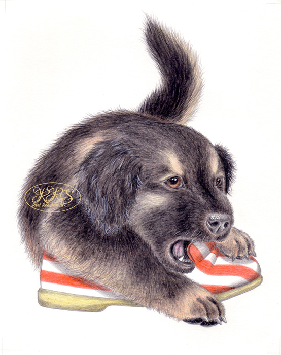 L. Tungal „Koer tunneb koera“ illustratsioon