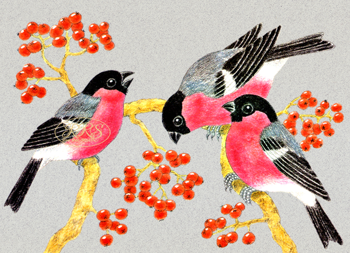 Card with bullfinches