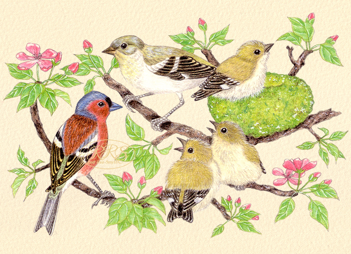 Card with chaffinches