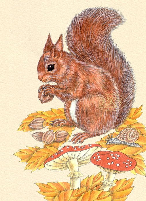 Card with a squirrel