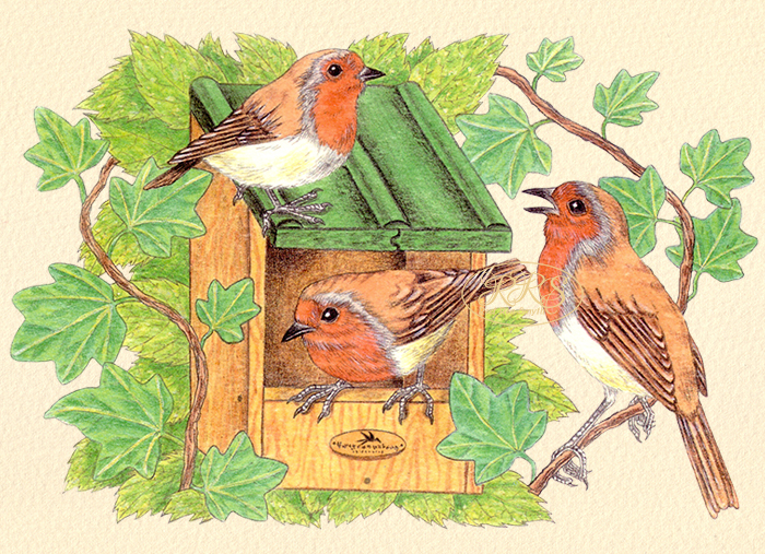 Card with robins