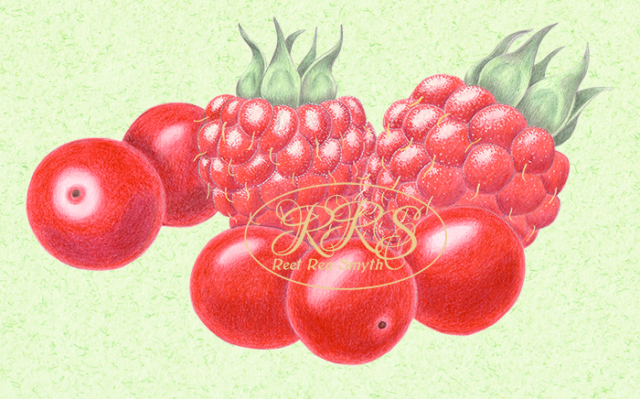 Cranberries and raspberries