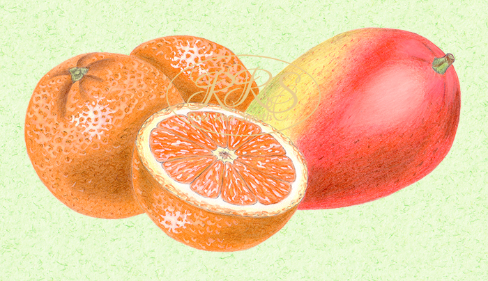 Oranges and a mango