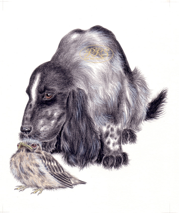 L. Tungal ‘Dog Knows Dog’ illustration