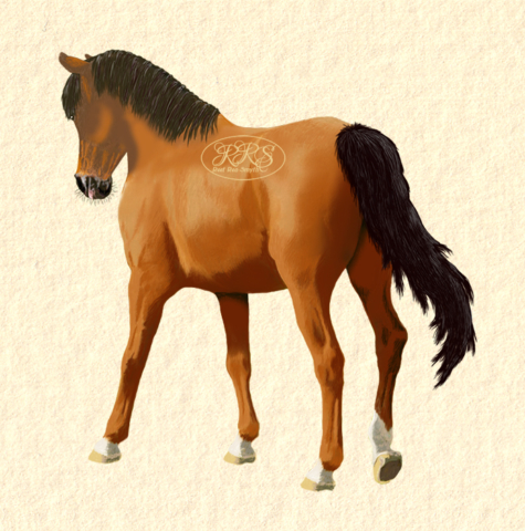 Sammuv hobune