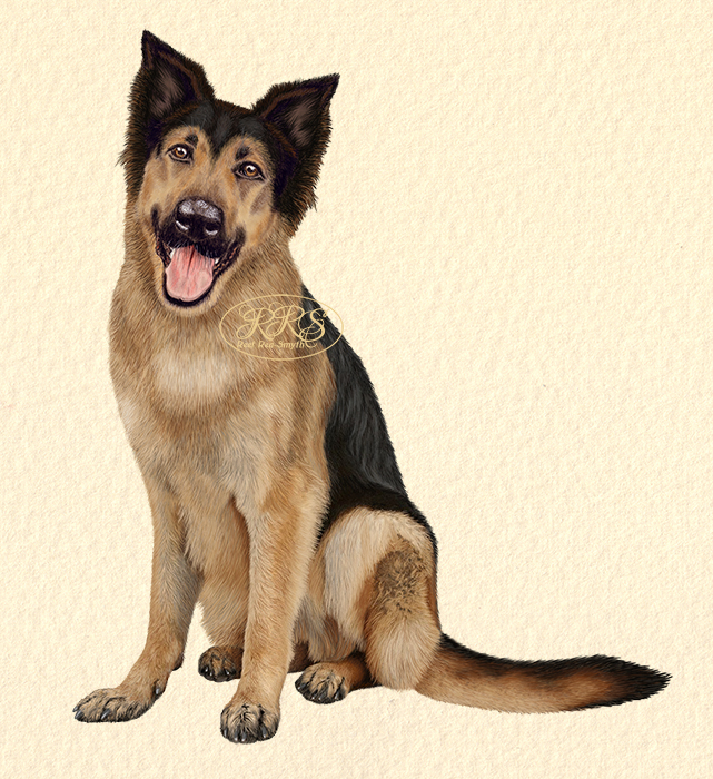 Mixed-breed dog Polla