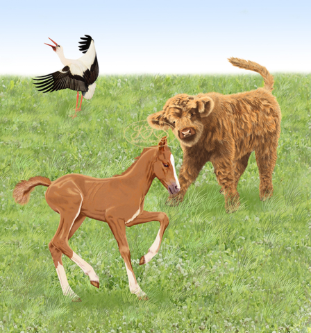 ‘Our Children's Animal Stories’ illustration